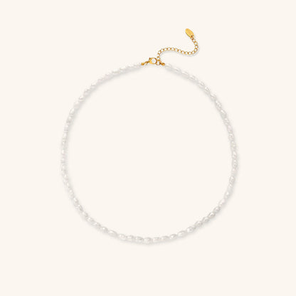 Avaria Freshwater Pearl Choker Necklace